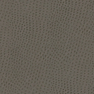 Quill-Nj # 873 Shark by Maxwell Fabric