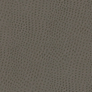 Quill-Nj # 873 Shark by Maxwell Fabric