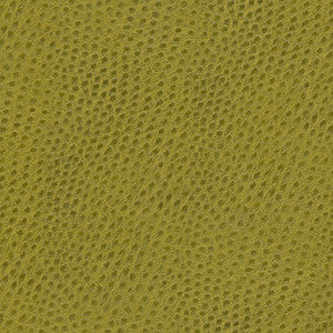 Quill-Nj # 874 Juniper by Maxwell Fabric