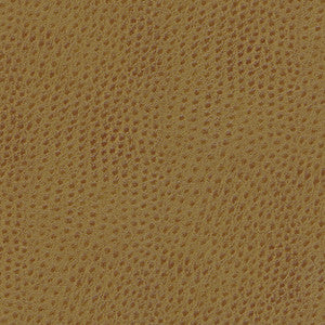 Quill-Nj # 876 Bashkir by Maxwell Fabric