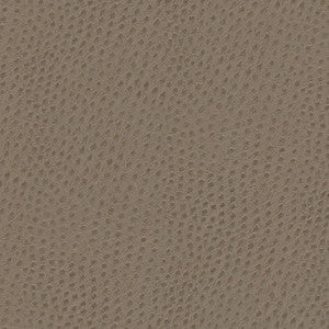 Quill-Nj # 883 Musgum by Maxwell Fabric