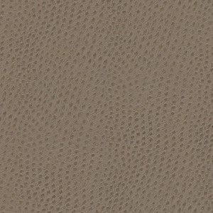 Quill-Nj # 883 Musgum by Maxwell Fabric