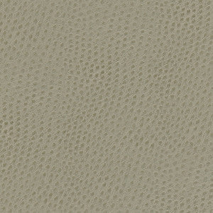 Quill-Nj # 888 Meringue by Maxwell Fabric