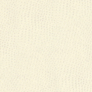 Quill-Nj # 900 Whipped by Maxwell Fabric
