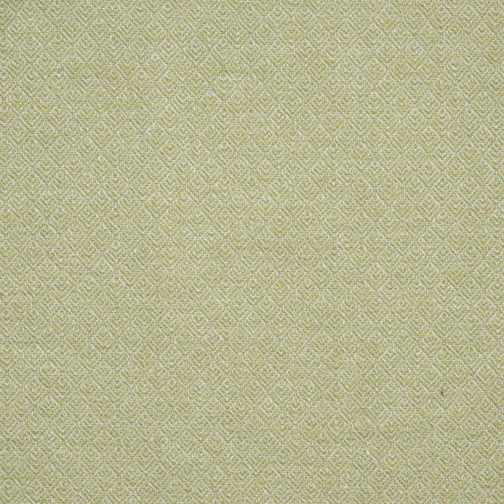 Queenswood # 911 Celery by Maxwell Fabric Performance Wovens-Vol. Vii Tidepool 82% POLYESTER
18% COTTON INDIA V-1" H-0.9" 54" - Fabric Carolina -