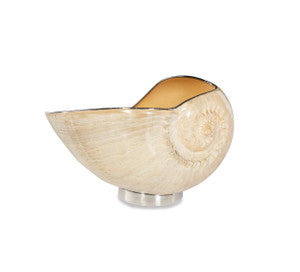 Benitra Shell Bowl QR-21188.NTRLSHELL.0 by CuratedKravet