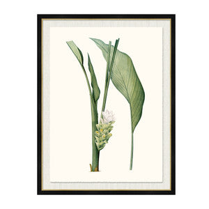 Curcuma Longa QR-21771.MULTI4.0 by CuratedKravet