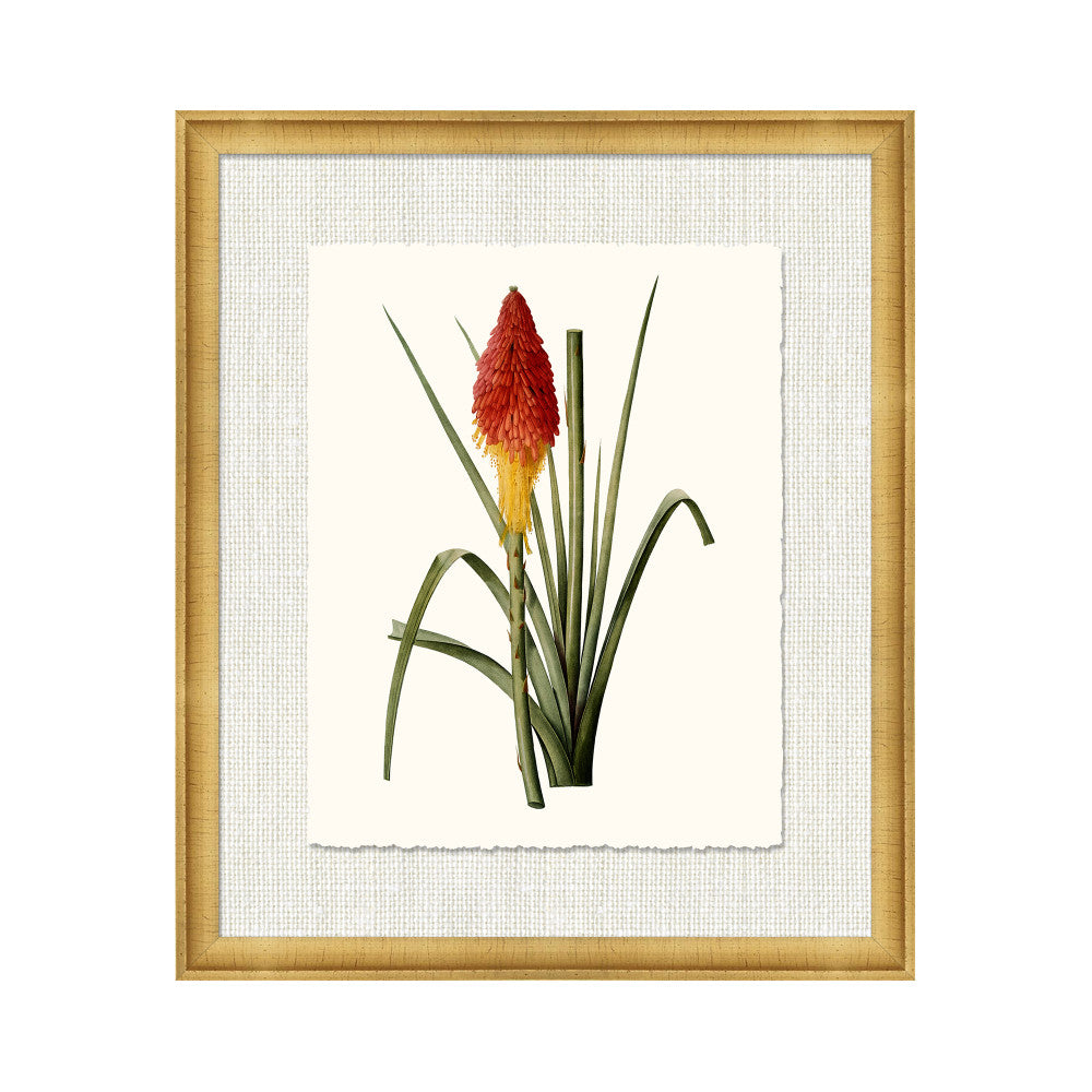 Petite Botanica X QR-21773.MULTI10.0 by CuratedKravet CuratedKravet A Boatanical masterpiece floating on Kravet Smart linen 34960-101, on Archival paper with a hand deckled edge. Featuring a 1-inch gold leaf scope frame. United States </p><p>Dimensions: Length 18, Height 21, Width 1 Paper - 75%, Wood - 20%, Glass - 5% - Fabric Carolina -