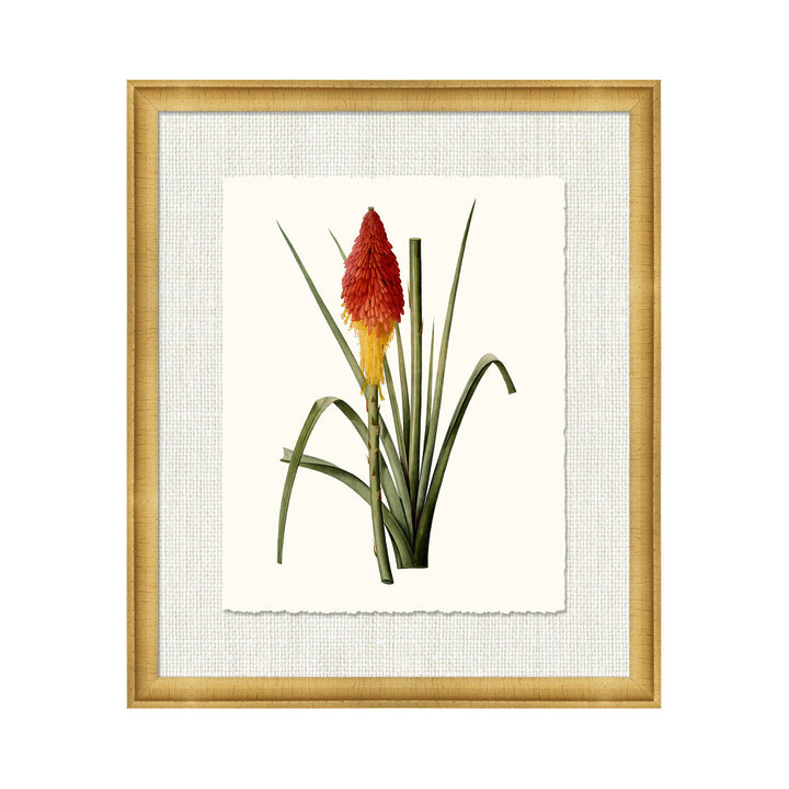 Petite Botanica X QR-21773.MULTI10.0 by CuratedKravet CuratedKravet A Boatanical masterpiece floating on Kravet Smart linen 34960-101, on Archival paper with a hand deckled edge. Featuring a 1-inch gold leaf scope frame. United States </p><p>Dimensions: Length 18, Height 21, Width 1 Paper - 75%, Wood - 20%, Glass - 5% - Fabric Carolina -