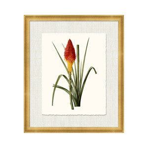 Petite Botanica X QR-21773.MULTI10.0 by CuratedKravet