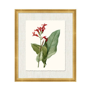 Petite Botanica Xi QR-21773.MULTI11.0 by CuratedKravet