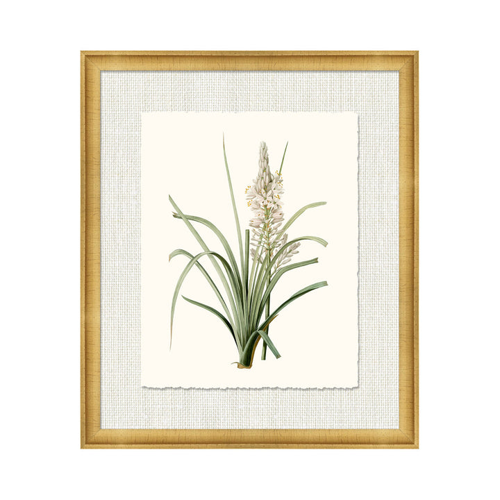 Petite Botanica Xii QR-21773.MULTI12.0 by CuratedKravet CuratedKravet A Boatanical masterpiece floating on Kravet Smart linen 34960-101, on Archival paper with a hand deckled edge. Featuring a 1-inch gold leaf scope frame. United States </p><p>Dimensions: Length 18, Height 21, Width 1 Paper - 75%, Wood - 20%, Glass - 5% - Fabric Carolina -