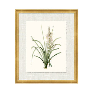 Petite Botanica Xii QR-21773.MULTI12.0 by CuratedKravet