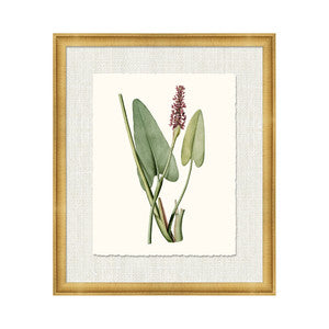 Petite Botanica Xiii QR-21773.MULTI13.0 by CuratedKravet