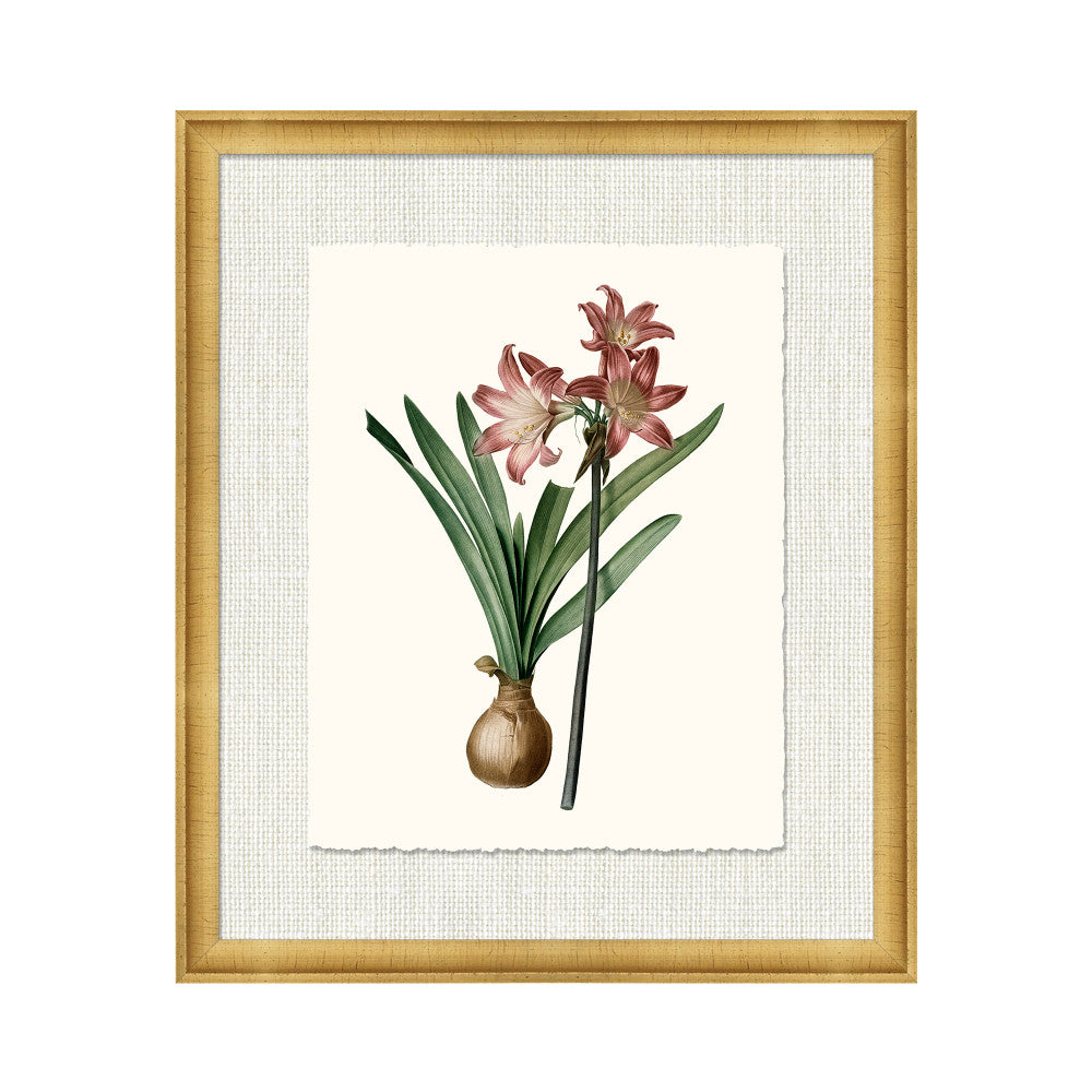 Petite Botanica Xiv QR-21773.MULTI14.0 by CuratedKravet CuratedKravet A Boatanical masterpiece floating on Kravet Smart linen 34960-101, on Archival paper with a hand deckled edge. Featuring a 1-inch gold leaf scope frame. United States </p><p>Dimensions: Length 18, Height 21, Width 1 Paper - 75%, Wood - 20%, Glass - 5% - Fabric Carolina -