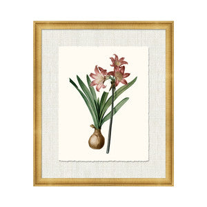 Petite Botanica Xiv QR-21773.MULTI14.0 by CuratedKravet