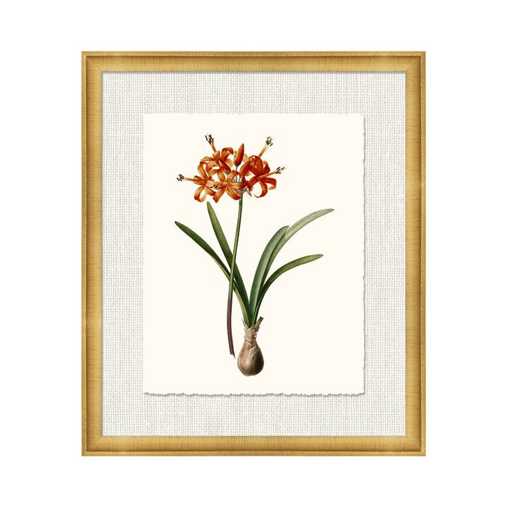 Petite Botanica Xv QR-21773.MULTI15.0 by CuratedKravet CuratedKravet A Boatanical masterpiece floating on Kravet Smart linen 34960-101, on Archival paper with a hand deckled edge. Featuring a 1-inch gold leaf scope frame. United States </p><p>Dimensions: Length 18, Height 21, Width 1 Paper - 75%, Wood - 20%, Glass - 5% - Fabric Carolina -