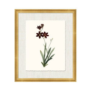 Petite Botanica I QR-21773.MULTI1.0 by CuratedKravet