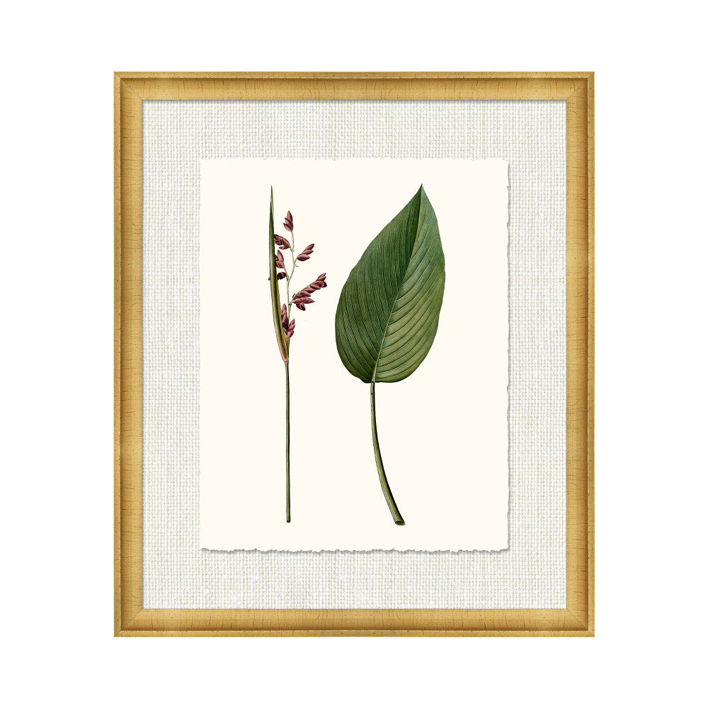 Petite Botanica Ii QR-21773.MULTI2.0 by CuratedKravet CuratedKravet A Boatanical masterpiece floating on Kravet Smart linen 34960-101, on Archival paper with a hand deckled edge. Featuring a 1-inch gold leaf scope frame. United States </p><p>Dimensions: Length 18, Height 21, Width 1 Paper - 75%, Wood - 20%, Glass - 5% - Fabric Carolina -