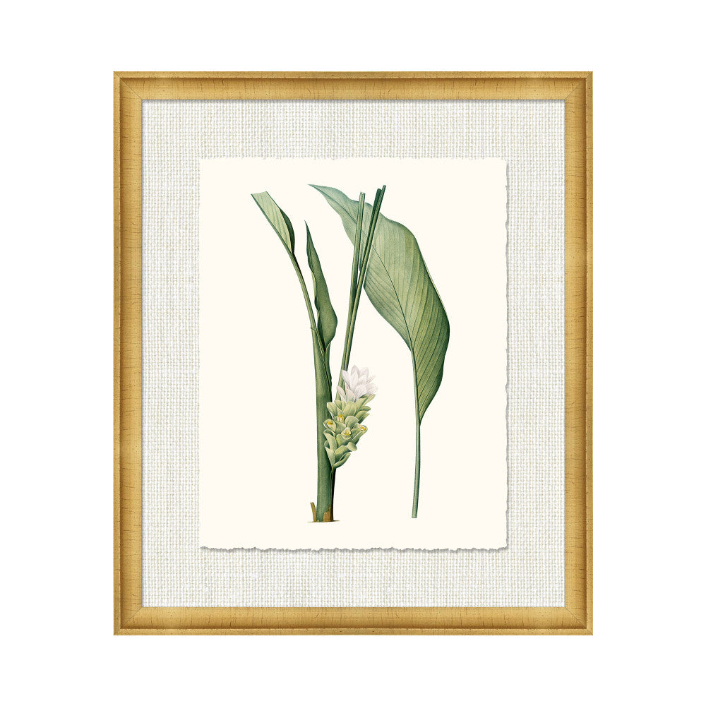 Petite Botanica Xiv QR-21773.MULTI4.0 by CuratedKravet CuratedKravet A Boatanical masterpiece floating on Kravet Smart linen 34960-101, on Archival paper with a hand deckled edge. Featuring a 1-inch gold leaf scope frame. United States </p><p>Dimensions: Length 18, Height 21, Width 1 - Fabric Carolina -