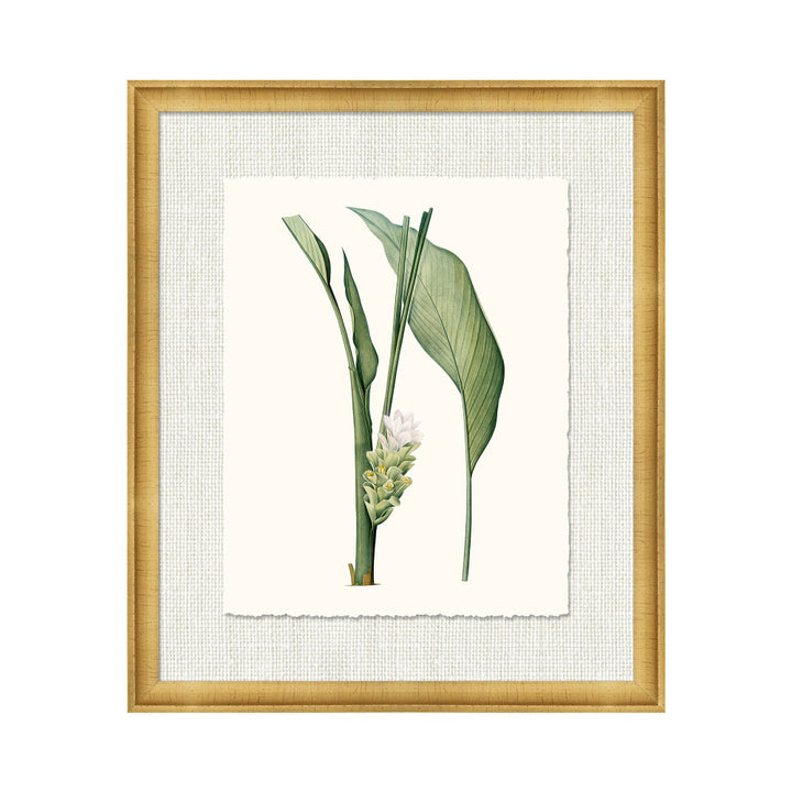 Petite Botanica Xiv QR-21773.MULTI4.0 by CuratedKravet CuratedKravet A Boatanical masterpiece floating on Kravet Smart linen 34960-101, on Archival paper with a hand deckled edge. Featuring a 1-inch gold leaf scope frame. United States </p><p>Dimensions: Length 18, Height 21, Width 1 - Fabric Carolina -
