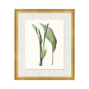 Petite Botanica Xiv QR-21773.MULTI4.0 by CuratedKravet