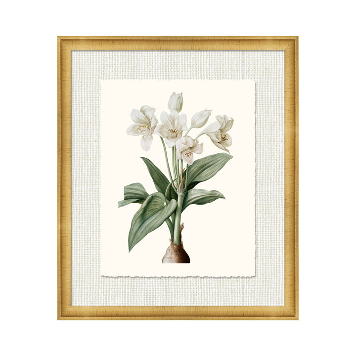 Petite Botanica Xv QR-21773.MULTI5.0 by CuratedKravet CuratedKravet A Boatanical masterpiece floating on Kravet Smart linen 34960-101, on Archival paper with a hand deckled edge. Featuring a 1-inch gold leaf scope frame. United States </p><p>Dimensions: Length 18, Height 21, Width 1 Paper - 75%, Wood - 20%, Glass - 5% - Fabric Carolina -