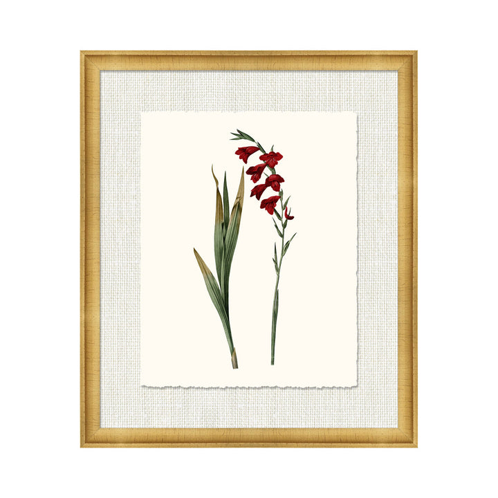 Petite Botanica Xvi QR-21773.MULTI6.0 by CuratedKravet CuratedKravet A Boatanical masterpiece floating on Kravet Smart linen 34960-101, on Archival paper with a hand deckled edge. Featuring a 1-inch gold leaf scope frame. United States </p><p>Dimensions: Length 18, Height 21, Width 1 Paper - 75%, Wood - 20%, Glass - 5% - Fabric Carolina -