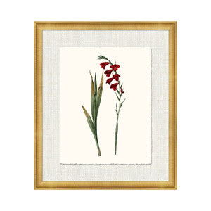 Petite Botanica Xvi QR-21773.MULTI6.0 by CuratedKravet
