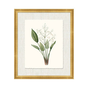 Petite Botanica Vii QR-21773.MULTI7.0 by CuratedKravet