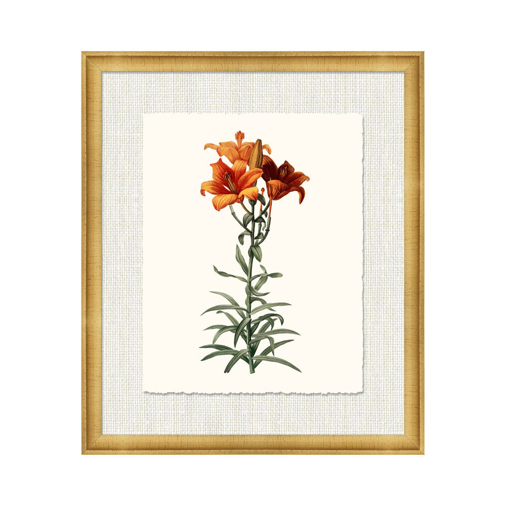 Petite Botanica Vii QR-21773.MULTI8.0 by CuratedKravet CuratedKravet A Boatanical masterpiece floating on Kravet Smart linen 34960-101, on Archival paper with a hand deckled edge. Featuring a 1-inch gold leaf scope frame. United States </p><p>Dimensions: Length 18, Height 21, Width 1 Paper - 75%, Wood - 20%, Glass - 5% - Fabric Carolina -