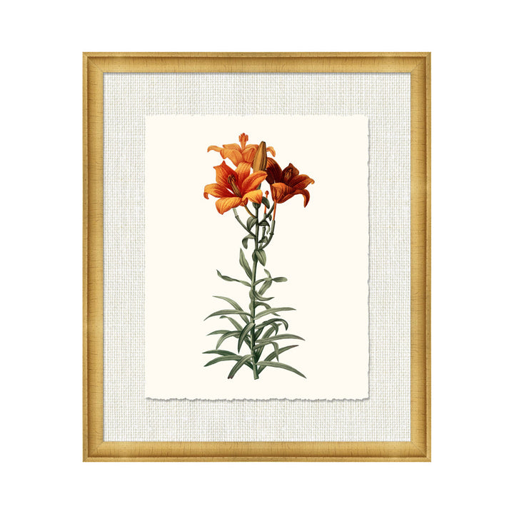 Petite Botanica Vii QR-21773.MULTI8.0 by CuratedKravet CuratedKravet A Boatanical masterpiece floating on Kravet Smart linen 34960-101, on Archival paper with a hand deckled edge. Featuring a 1-inch gold leaf scope frame. United States </p><p>Dimensions: Length 18, Height 21, Width 1 Paper - 75%, Wood - 20%, Glass - 5% - Fabric Carolina -