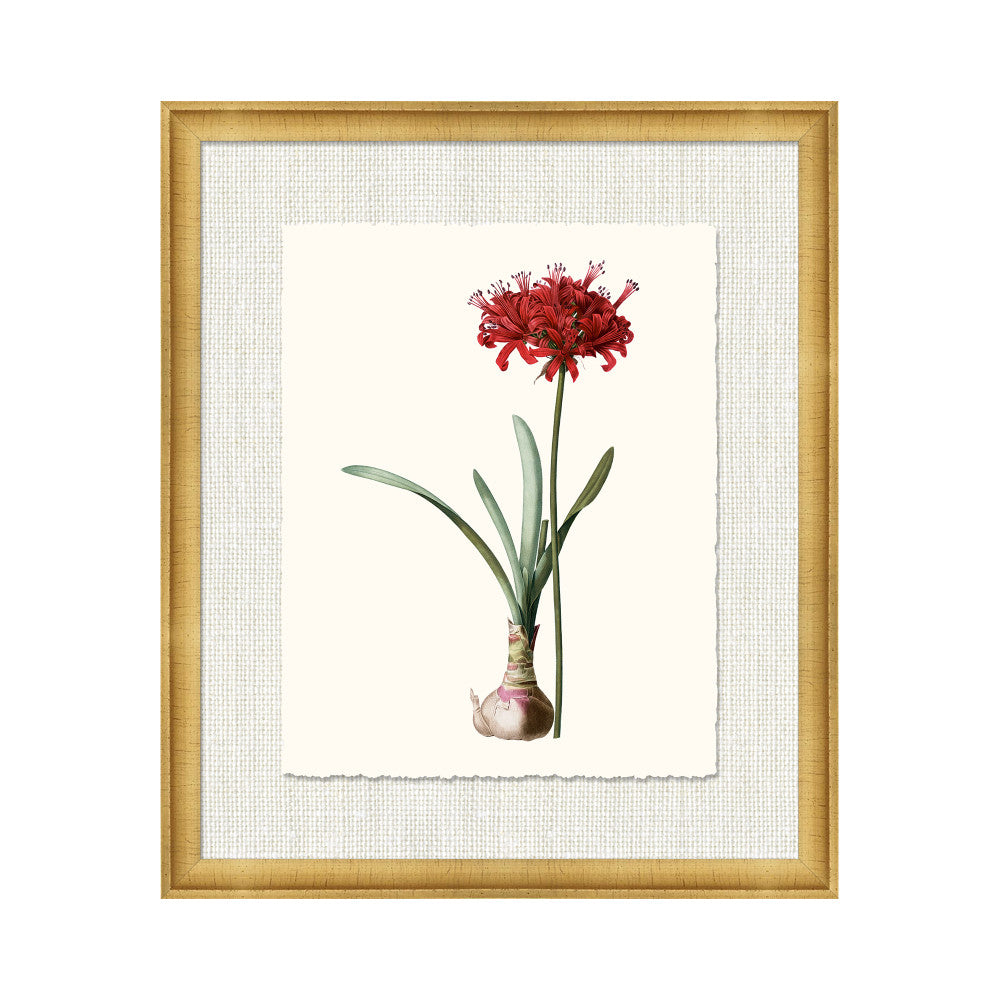 Petite Botanica Ix QR-21773.MULTI9.0 by CuratedKravet CuratedKravet A Boatanical masterpiece floating on Kravet Smart linen 34960-101, on Archival paper with a hand deckled edge. Featuring a 1-inch gold leaf scope frame. United States </p><p>Dimensions: Length 18, Height 21, Width 1 Paper - 75%, Wood - 20%, Glass - 5% - Fabric Carolina -