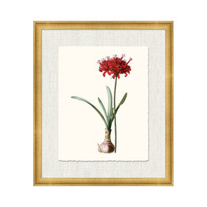 Petite Botanica Ix QR-21773.MULTI9.0 by CuratedKravet
