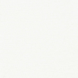 Quagmire 1 Bleach by Sunbrella Fabric