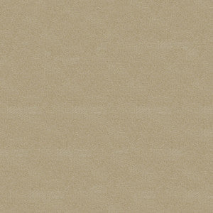 Bedrock 608 Sand by ABBEYSHEA Fabric