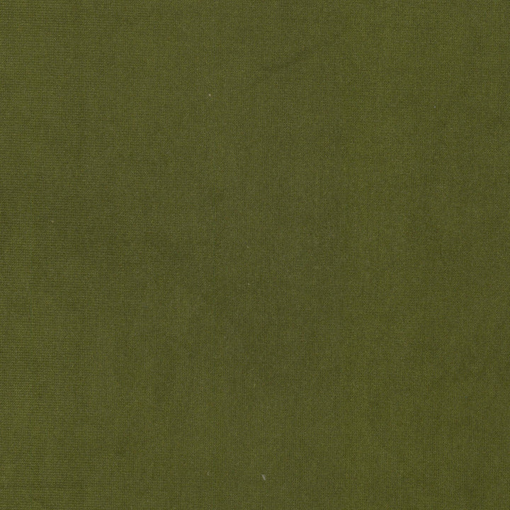 Queen 10 Olive by Stout Fabric Stout Fabric Queen 10 OliveFabric SOLID VELVETS PLUSH PALETTE 95%POL 5%COT CHINA </p><p>Repeat: H: 0.000, V: 0.000 54 in - Fabric Carolina -