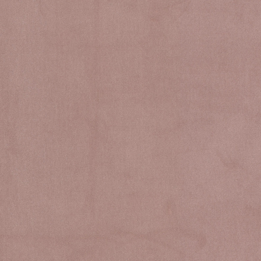 Queen 16 Camelia by Stout Fabric Stout Fabric Queen 16 CameliaFabric SOLID VELVETS PLUSH PALETTE 95%POL 5%COT CHINA </p><p>Repeat: H: 0.000, V: 0.000 54 in - Fabric Carolina -