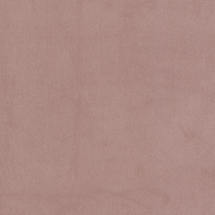 Queen 16 Camelia by Stout Fabric Stout Fabric Queen 16 CameliaFabric SOLID VELVETS PLUSH PALETTE 95%POL 5%COT CHINA </p><p>Repeat: H: 0.000, V: 0.000 54 in - Fabric Carolina -