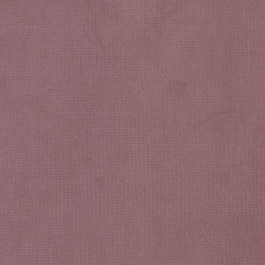 Queen 17 Fuchsia by Stout Fabric