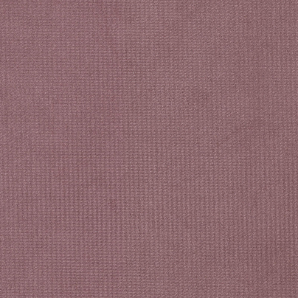 Queen 17 Fuchsia by Stout Fabric Stout Fabric Queen 17 FuchsiaFabric Solid Velvets Plush Palette 95%Pol 5%Cot China </p><p>Repeat: H: 0, V: 0 54 in - Fabric Carolina -