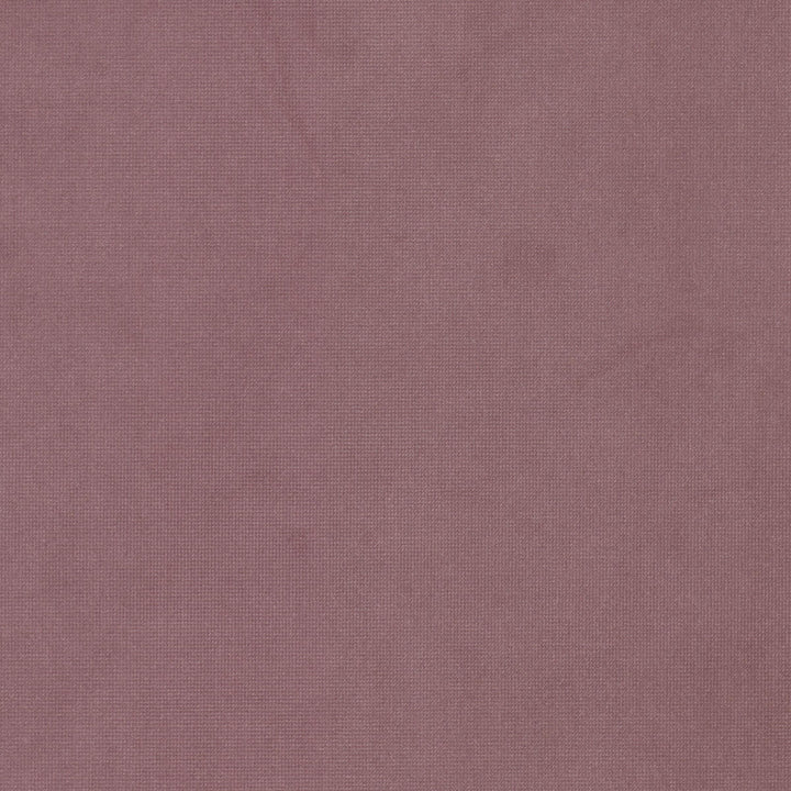 Queen 17 Fuchsia by Stout Fabric Stout Fabric Queen 17 FuchsiaFabric Solid Velvets Plush Palette 95%Pol 5%Cot China </p><p>Repeat: H: 0, V: 0 54 in - Fabric Carolina -