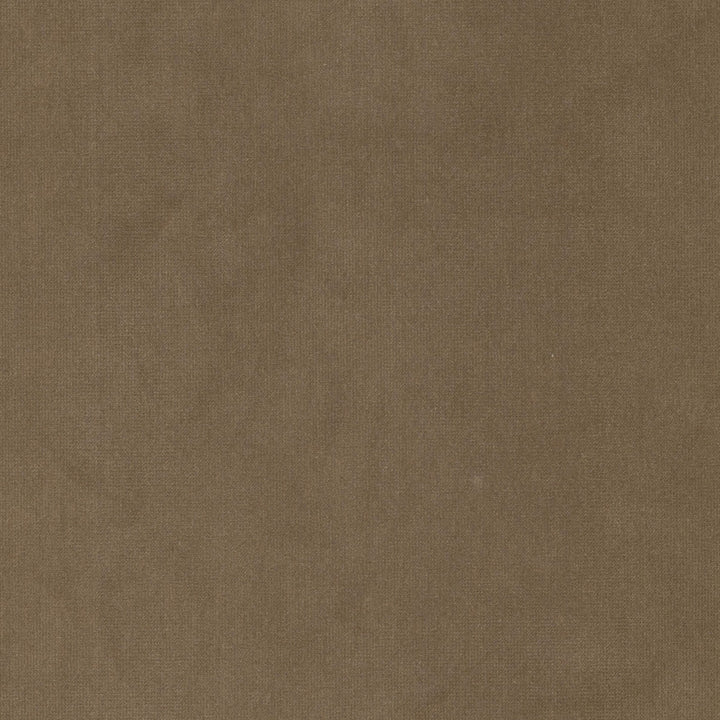 Queen 1 Lion by Stout Fabric Stout Fabric Queen 1 LionFabric SOLID VELVETS PLUSH PALETTE 95%POL 5%COT CHINA </p><p>Repeat: H: 0.000, V: 0.000 54 in - Fabric Carolina -