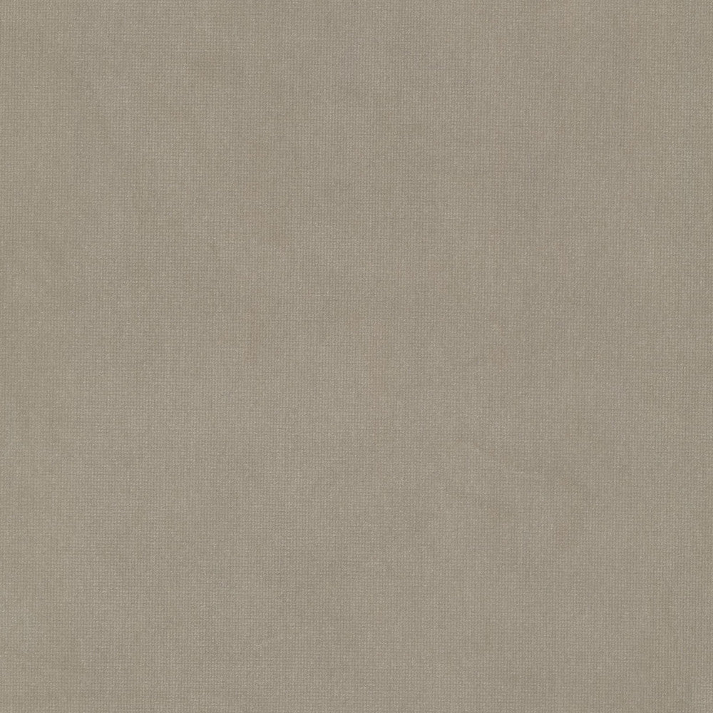 Queen 23 Beige by Stout Fabric Stout Fabric Queen 23 BeigeFabric SOLID VELVETS PLUSH PALETTE 95%POL 5%COT CHINA </p><p>Repeat: H: 0.000, V: 0.000 54 in - Fabric Carolina -