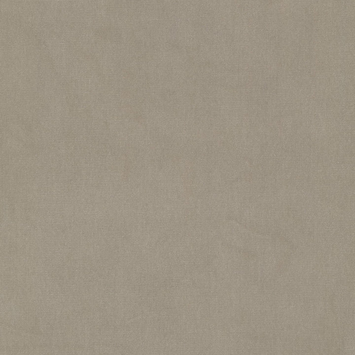 Queen 23 Beige by Stout Fabric Stout Fabric Queen 23 BeigeFabric Solid Velvets Plush Palette 95%Pol 5%Cot China </p><p>Repeat: H: 0, V: 0.25 54 in - Fabric Carolina -