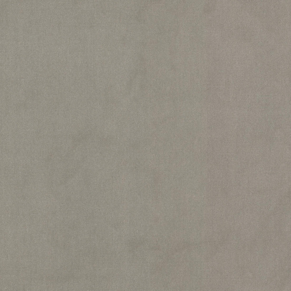 Queen 24 Mushroom by Stout Fabric Stout Fabric Queen 24 MushroomFabric SOLID VELVETS PLUSH PALETTE 95%POL 5%COT CHINA </p><p>Repeat: H: 0.000, V: 0.000 54 in - Fabric Carolina -