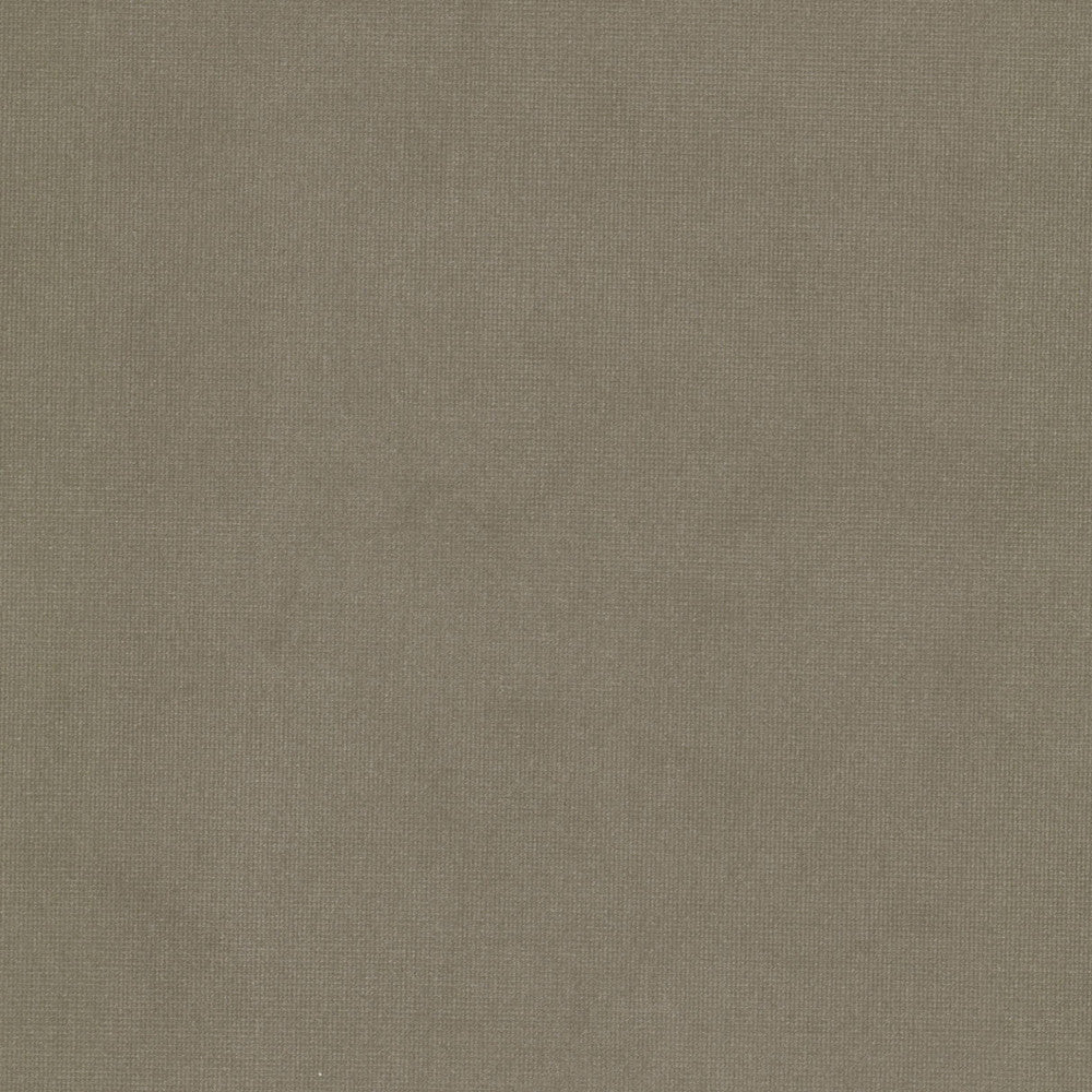 Queen 25 Sandstone by Stout Fabric Stout Fabric Queen 25 SandstoneFabric Solid Velvets Plush Palette 95%Pol 5%Cot China </p><p>Repeat: H: 0, V: 1.5 54 in - Fabric Carolina -