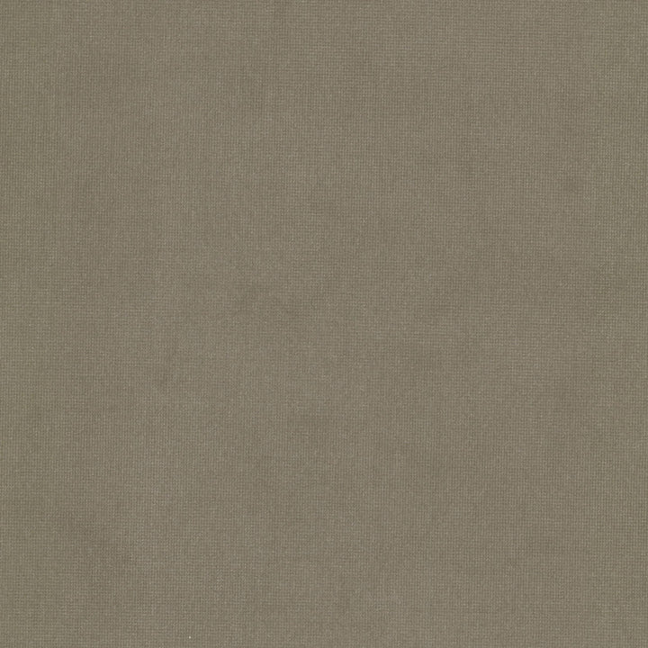 Queen 25 Sandstone by Stout Fabric Stout Fabric Queen 25 SandstoneFabric Solid Velvets Plush Palette 95%Pol 5%Cot China </p><p>Repeat: H: 0, V: 1.5 54 in - Fabric Carolina -
