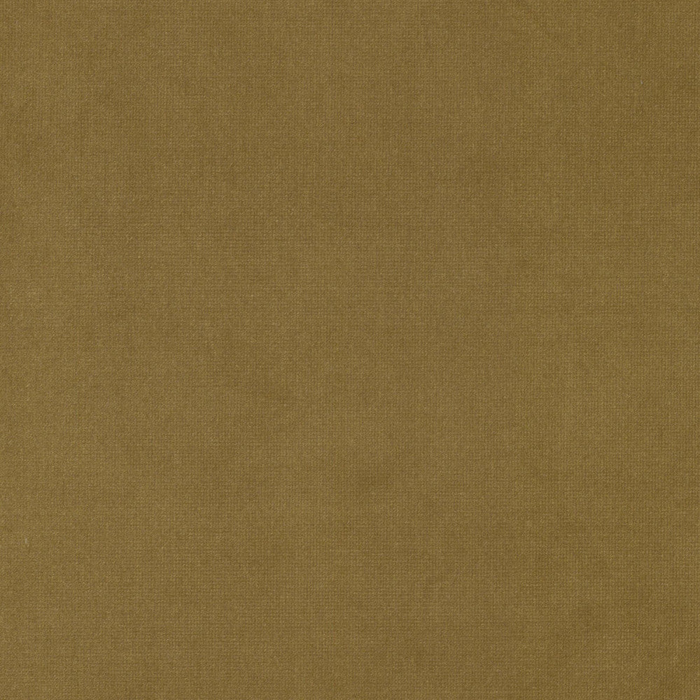 Queen 26 Honey by Stout Fabric Stout Fabric Queen 26 HoneyFabric Solid Velvets Plush Palette 95%Pol 5%Cot China </p><p>Repeat: H: 0, V: 3.5 54 in - Fabric Carolina -