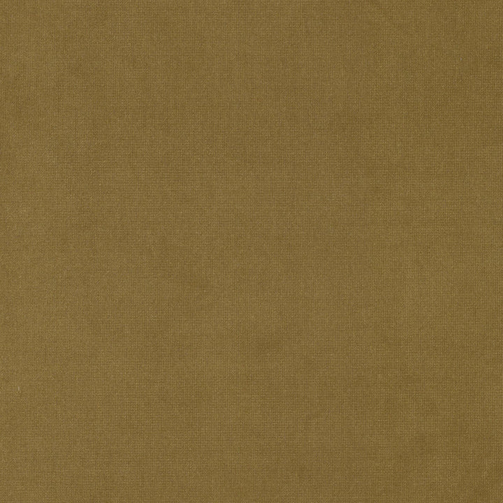 Queen 26 Honey by Stout Fabric Stout Fabric Queen 26 HoneyFabric Solid Velvets Plush Palette 95%Pol 5%Cot China </p><p>Repeat: H: 0, V: 3.5 54 in - Fabric Carolina -
